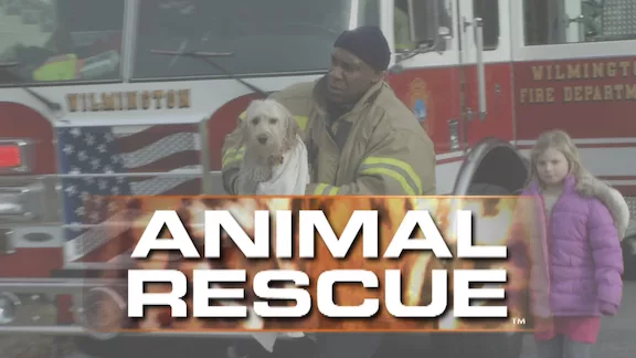 Animal Rescue Channel Art